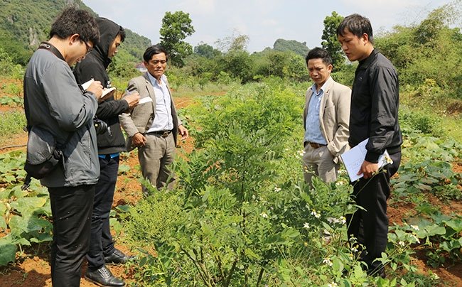 Không có ảnh